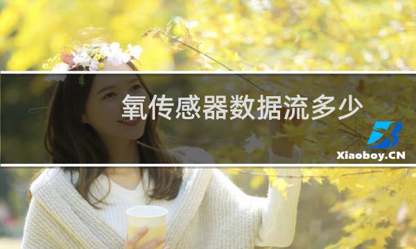 氧传感器数据流多少