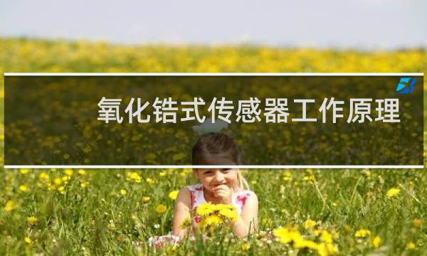 氧化锆式传感器工作原理