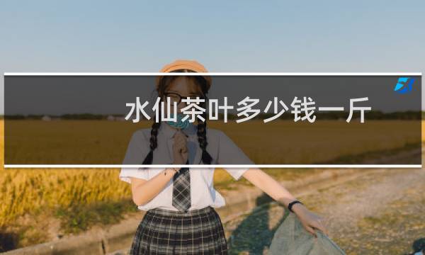 水仙茶叶多少钱一斤