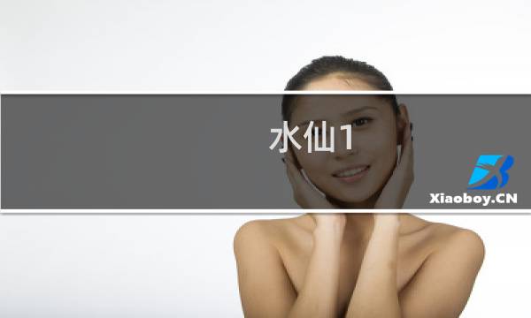 水仙1 2攻略