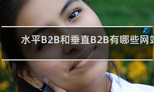 水平B2B和垂直B2B有哪些网站