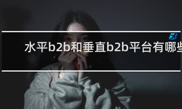 水平b2b和垂直b2b平台有哪些