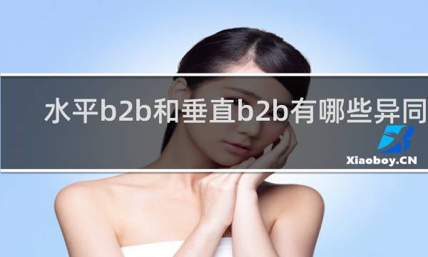 水平b2b和垂直b2b有哪些异同点