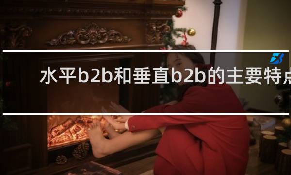 水平b2b和垂直b2b的主要特点