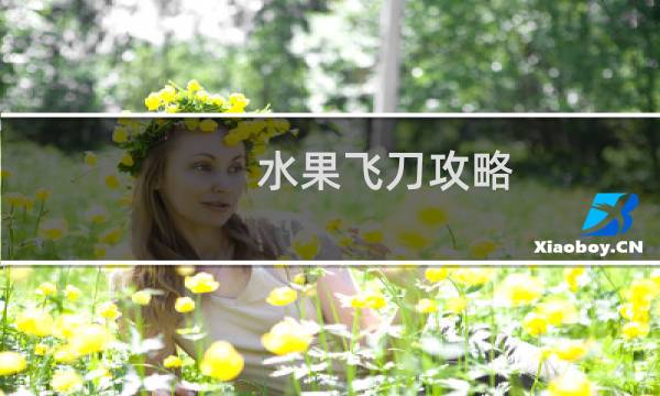水果飞刀攻略