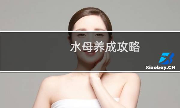 水母养成攻略