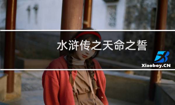 水浒传之天命之誓 攻略