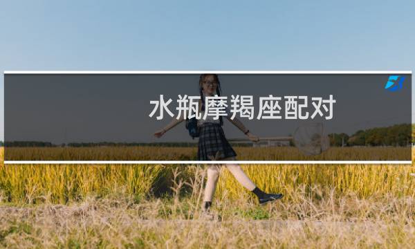 水瓶摩羯座配对
