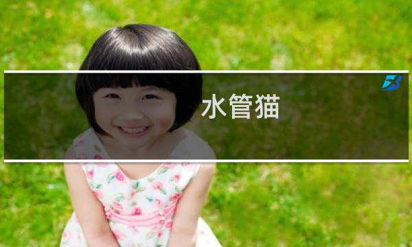 水管猫 攻略