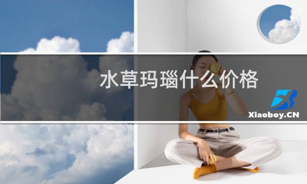 水草玛瑙什么价格