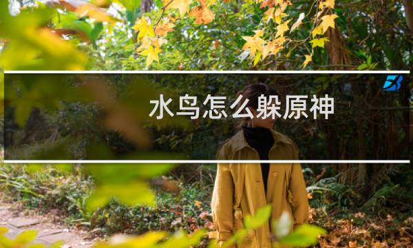 水鸟怎么躲原神
