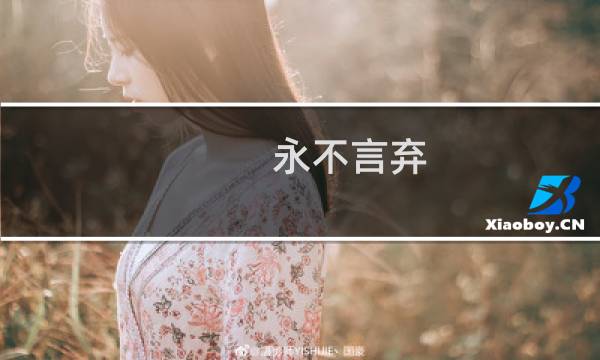 永不言弃 攻略