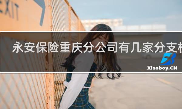 永安保险重庆分公司有几家分支机构