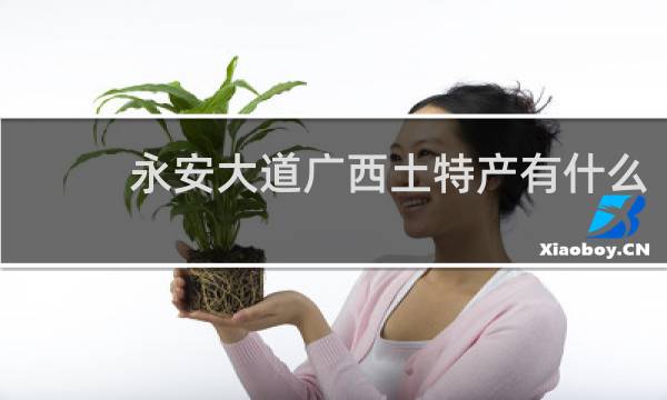 永安大道广西土特产有什么