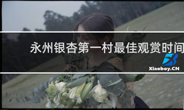 永州银杏第一村最佳观赏时间