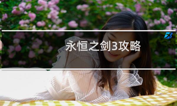 永恒之剑3攻略