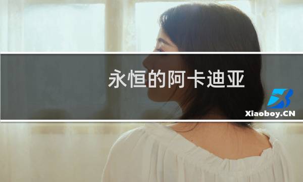 永恒的阿卡迪亚 攻略