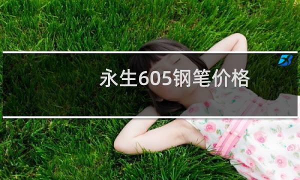 永生605钢笔价格