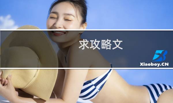 求攻略文