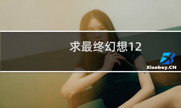 求最终幻想12