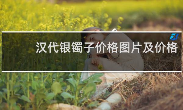 汉代银镯子价格图片及价格