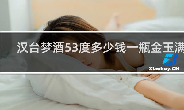 汉台梦酒53度多少钱一瓶金玉满堂