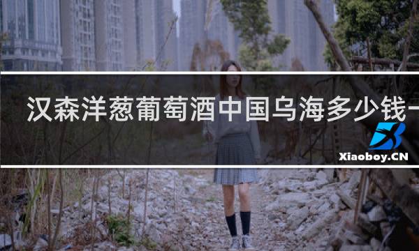 汉森洋葱葡萄酒中国乌海多少钱一瓶