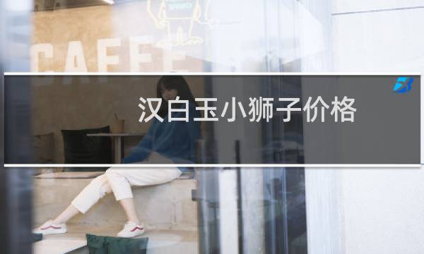 汉白玉小狮子价格