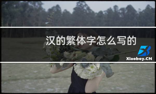 汉的繁体字怎么写的