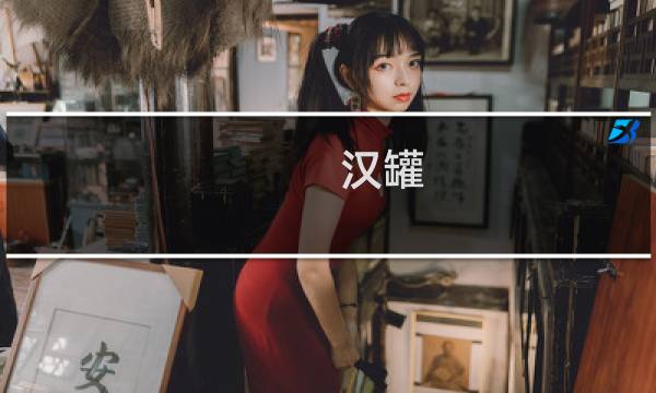 汉罐 价格