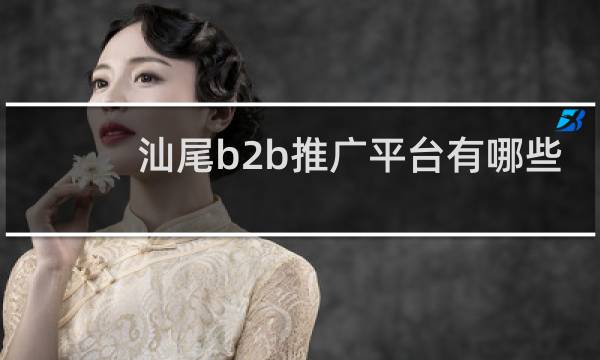 汕尾b2b推广平台有哪些