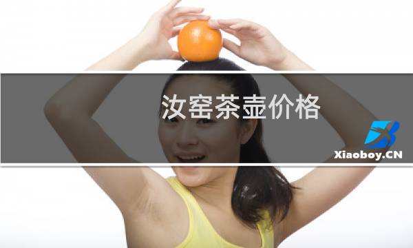 汝窑茶壶价格