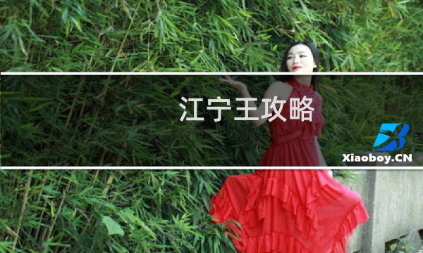 江宁王攻略