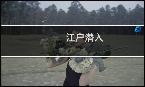 江户潜入 攻略