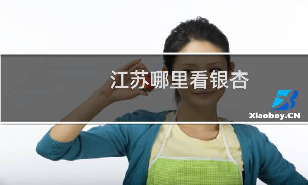 江苏哪里看银杏