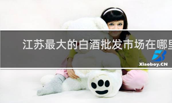 江苏最大的白酒批发市场在哪里