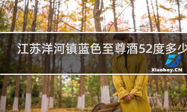 江苏洋河镇蓝色至尊酒52度多少钱