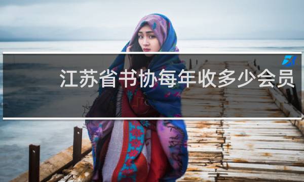 江苏省书协每年收多少会员