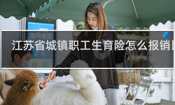 江苏省城镇职工生育险怎么报销比例