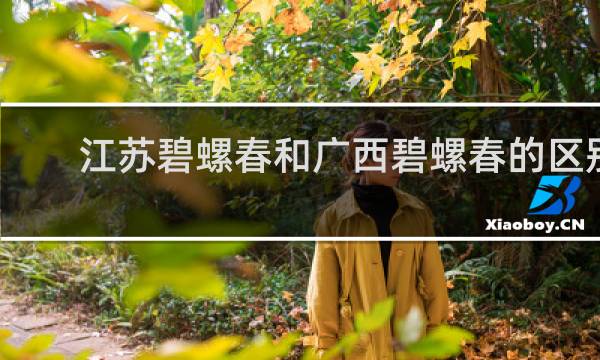 江苏碧螺春和广西碧螺春的区别
