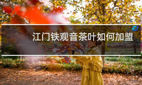 江门铁观音茶叶如何加盟