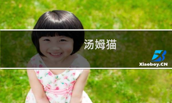 汤姆猫 攻略