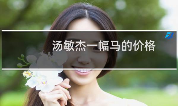汤敏杰一幅马的价格