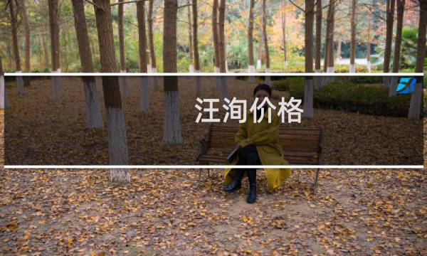 汪洵价格