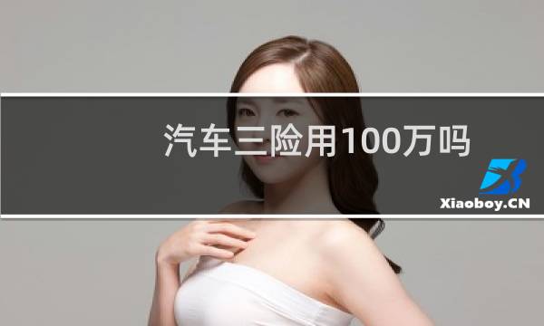 汽车三险用100万吗