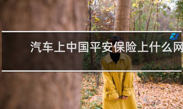 汽车上中国平安保险上什么网