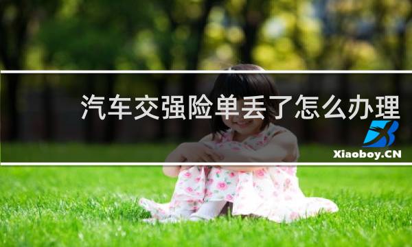 汽车交强险单丢了怎么办理
