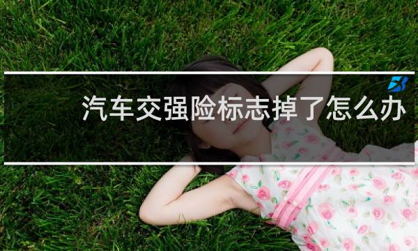 汽车交强险标志掉了怎么办