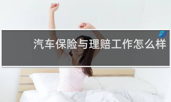 汽车保险与理赔工作怎么样