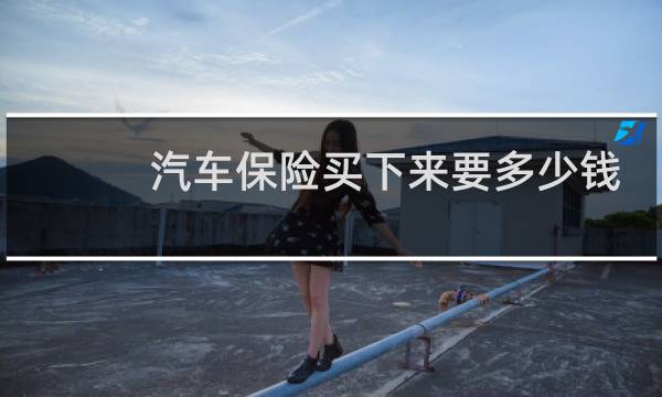 汽车保险买下来要多少钱